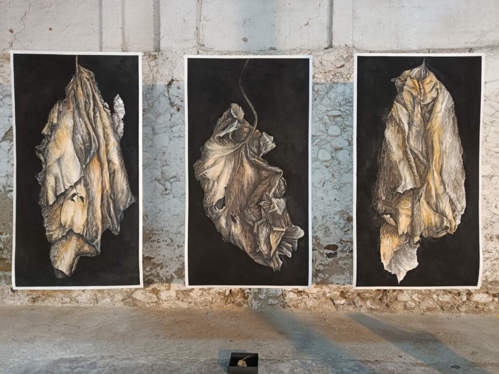 "Natures mortes" . Encres et pigments sur papier d'apprêt 95 x 178 cm
