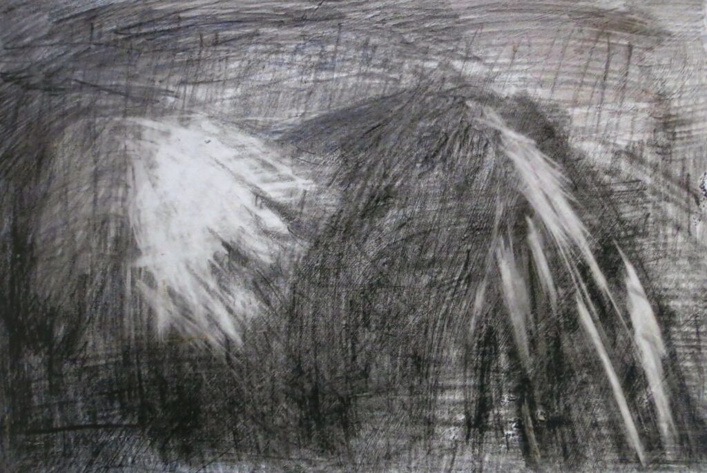 Mes genoux, exposition 2006